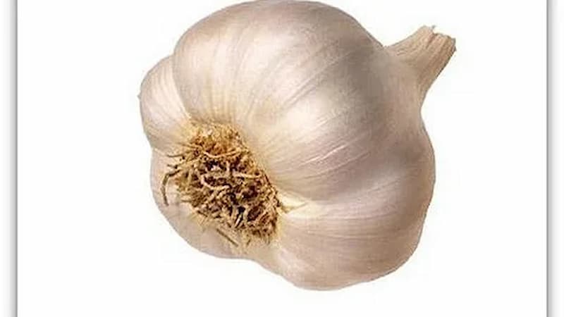 تصویر 1 از سیر اصفهان کوچک تازه عطری شیرین و تندی ملایم